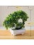 Jinyucao Yeşil Yeni Yeşil Küçük Ağaç Saksı Bonsai Süsler Ev Bahçe Otel Banyo Yatak Odası Dekorasyon Yapay Bitkiler Bonsai Sahte Bitkiler (Yurt Dışından) 4