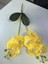 Açık Sarı 2 Şube Orkide Yaprak Yapay Çiçek Phalaenopsis Sahte Saksı Bitki Düğün Çiçek Aranjmanı Sahne Ev Iç Dekor (Yurt Dışından) 1