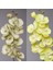 18 8 Kafaları Yapay Kelebek Orkide Sahte 3D Phalaenopsis Simülasyon Çiçek Gerçek Dokunmatik Bitkiler Düğün Ev Noel Dekorasyon (Yurt Dışından) 5