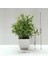 Stil 7 Yapay Bitkiler Lavanta Saksı Bonsai Yeşil Mini Ağaç Bitkiler Ev Bahçe Partisi Otel Dekor Için Sahte Çiçekler Saksı Süsler (Yurt Dışından) 1