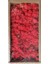 14 50G 50G/TORBA Yapay Yeşil Bitkiler Ebedi Yaşam Yosun Çim Ev Oturma Odası Bahçe Dekorasyon Mini Peyzaj Sahte Çiçek Dıy El Sanatları (Yurt Dışından) 1