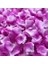 Mor Beyaz 100 Adet 100/500/1000 Adet Renkli Romantik Ipek Gül Yaprakları Yapay Düğün Çiçek Petal Düğün Parti Çiçek Dekorasyon Şekeri 50% (Yurt Dışından) 1