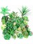 Stil 3 Yeşil Akın Yapay Succulents Bitkiler Ev Bahçe Dekorasyon Çiçek Aranjmanı Banyo Aksesuarları Planta Yapay (Yurt Dışından) 2