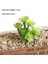 Yeşil 11TOU x IANRENKE Yeşil Yapay Succulents Bitkiler Ev Bahçe Yatak Odası Balkon Masaüstü Masa Mini Bonsai Düğün Parti Dekorasyon Sahte Bitkiler (Yurt Dışından) 1