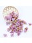 Mor Kırmızı 50 Parça Çok Renkli Küçük Ipek Papatya Noel Süslemeleri Ev Düğün Için Sahte Çiçek Scrapbooking Için Diy Hediyeler Kutusu Yapay Çiçekler (Yurt Dışından) 1