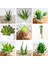 x in Zebra Aloey 39 Stilleri Yeşil Yapay Succulents Bitkiler Ev Bahçe Düğün Doğum Günü Partisi Noel Cadılar Bayramı Dekorasyon Sahte Bitkiler Bonsai (Yurt Dışından) 2