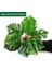 Fern LEAVE-038 Yapay Eğreltiotu Bitkileri Duvar Dekorasyonu Yaprak Aksesuarları Kaplumbağa Arka Yaprak Farsça Yeşil Bitki Duvar Aksesuarları Ev Dekorasyon (Yurt Dışından) 1