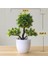 Gök Mavisi Yapay Plastik Bitkiler Bonsai Küçük Ağaç Saksı Sahte Bitki Saksı Çiçek Ev Odası Masa Dekorasyon Bahçe Düzenleme Süsler (Yurt Dışından) 1