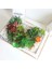 11 Tou x iaoxianrenke 2021 Yapay Succulents Bitkiler Ev Dekor Mini Bonsai Bahçe Yatak Odası Düğün Dekorasyon Plantas Artificiales Para Decoracion (Yurt Dışından) 4