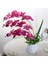 H Yapay Kelebek Beyaz Orkide Çiçek Ipek + Plastik Güve Phalaenopsis Düğün Ev Dıy Dekorasyon Için Sahte Çiçekler (Yurt Dışından) 4