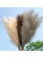 120 cm -L01-1PC 100-120 cm Büyük Ipek Pampas Çim Çiçekleri Pantas Artificiales Para Decoracion Simülasyon Bitkiler Ev Dekor Için Düğün Dekorasyon (Yurt Dışından) 3