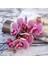 Gül 3D Küçük Kelebek Orkide 6 Kafaları/paket Sahte Çiçek Ev Perdelik Duvar Düğün Dekorasyon Noel Diy Yapay Phalaenopsis (Yurt Dışından) 1
