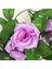 Stil 5 250 cm /grup Ipek Güller Ivy Vine Ev Düğün Dekorasyon Için Yeşil Yapraklarla Sahte Yaprak Diy Asılı Garland Yapay Çiçekler (Yurt Dışından) 4