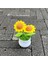 Ayçiçeği-Tığ Işi Ayçiçeği Saksı Bitki, Sahte Çiçek Bonsai, Gül, Kaktüs, Antoryum, Calla, Yonca, Lale, Papatya, Ev Masası Dekoru Için Dokuma Hediye (Yurt Dışından) 3