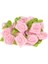 Açık Pembe 50 Adet/grup 2 cm Yapay Ipek Mini Gül Çiçek Başları Düğün Dekorasyon Için Saten Kurdele El Yapımı Dıy Zanaat Scrapbooking Yapmak (Yurt Dışından) 1