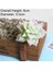 Fo x in Lian 1 Adet Beyaz Akın Yapay Succulents Bitkiler Çiçek Aranjmanı Aksesuarları Masaüstü Bonsai Ev Bahçe Dekorasyonu Sahte Bitkiler (Yurt Dışından) 1