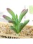Stil 20 Yeşil Akın Yapay Succulents Bitkiler Ev Bahçe Dekorasyonu Çiçek Aranjmanı Banyo Aksesuarları Planta Yapay (Yurt Dışından) 1