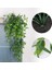 Okaliptüs Yeşili Saksı Olmadan Yapay Asma Bitkileri Asılı Inciler Etli Asma Yeşil Ev Dekorasyon Plastik Çelenk Düğün Dekor Rattan Succulents (Yurt Dışından) 2