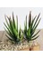 Fr x iaolingjiaocao 7 x 10 cm Yapay Succulents Bitkiler Aloe Zebrina Bitkiler Yapay Bitki Peyzaj Sahte Çiçek Aranjmanı Bahçe Dekorasyon (Yurt Dışından) 2