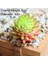 Huo Lun Hua Yapay Yeşil Mor Kırmızı Mavi Etli Bitkiler Ev Bahçe Düğün Dekorasyon Mini Masaüstü Bonsai Dıy Plante Artificielle (Yurt Dışından) 3