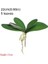 22 cm -5 Yapraklar Phalaenopsis Yaprağı Yapay Bitki Yaprağı Dekoratif Çiçekler Ev Dekor Orkide Yaprakları (Yurt Dışından) 1