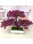 Mor Kırmızı Yapay Bitkiler Çam Bonsai Küçük Ağaç Saksı Bitkileri Bir Simülasyon Lotus Çam Sahte Çiçek Bonsai Seti Saksı Yeşil Bitkiler Otel (Yurt Dışından) 1