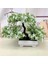 Mor Kırmızı Yapay Bitkiler Çam Bonsai Küçük Ağaç Saksı Bitkileri Bir Simülasyon Lotus Çam Sahte Çiçek Bonsai Seti Saksı Yeşil Bitkiler Otel (Yurt Dışından) 4