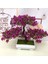 Mor Kırmızı Yapay Bitkiler Çam Bonsai Küçük Ağaç Saksı Bitkileri Bir Simülasyon Lotus Çam Sahte Çiçek Bonsai Seti Saksı Yeşil Bitkiler Otel (Yurt Dışından) 5