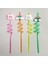 5 Parça Renkli Pipet Seti - Emojili Spiral Kokteyl - Çocuk Pipeti Temizleme Fırçalı 1