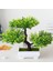 Yeşil B Yapay Bitki Bonsai Plastik Küçük Ağaç Saksı Sahte Bitki Çiçek Saksı Süsler Ev Odası Masa Bahçe Otel Dekorasyon Için (Yurt Dışından) 2