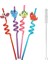 5 Parça Renkli Pipet Seti - Emojili Spiral Kokteyl - Çocuk Pipeti Temizleme Fırçalı 4