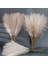 Gri 5pcs 55 cm 5/10/20PCS Kabarık Pampas Çim Boho Dekor Çiçek Sahte Bitki Kamış Simüle Düğün Parti Ev Dekorasyon Yapay Çiçekler (Yurt Dışından) 3