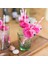 Mavi 10 Adet 10/20 Adet 3D Flamingo Pipet Orman Kağıt Saman Yaz Havuz Partisi Malzemeleri Düğün Dekor Yetişkin Pembe Mavi Flamingo Pipet (Yurt Dışından) 4