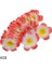 E-1-H08 8 cm 30 Adet 5/6/7/8/9 cm Pe Köpük Plumeria Çiçekler Dıy Yapay Çelenk Headdress Frangipani Yumurta Çiçek Kafaları Hawaii Düğün Dekor (Yurt Dışından) 1