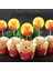 12TOPPER-12WRAPPER Disney Winnie The Pooh Yemek Takımı Parti Malzemeleri Masa Örtüsü Fincan Plaka Pooh Balon Çocuk Doğum Günü Cadılar Bayramı Süslemeleri (Yurt Dışından) 1