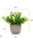 14 Mini Yapay Çiçekler Bitkiler Bonsai Masa Süsü Küçük Simüle Ağaç Saksı Bitkileri Sahte Çiçekler Ofis Masası Saksı Süs Ev (Yurt Dışından) 1