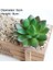 Yeşil Bao Shi Hua Yeşil Yapay Succulents Bitkiler Ev Bahçe Yatak Odası Balkon Masaüstü Masa Mini Bonsai Düğün Parti Dekorasyon Sahte Bitkiler (Yurt Dışından) 1