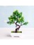 25 Yenı Yapay Bitkiler Bonsai Küçük Ağaç Saksı Bitkileri Ev Dekorasyon Otel Bahçe Dekor Için Sahte Çiçekler Saksı Süsler (Yurt Dışından) 1