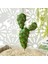 Stil 15 Yapay Plastik Kaktüs Succulents Dikenli Armut Saksı Bitki Hiçbir Pot Çevre Dostu Simülasyon Ev Ofis Masaüstü Dekorasyon Sıcak (Yurt Dışından) 5