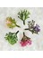 Pembe 100G Mini Çekirdek Ercik Diy Bonsai Dekoratif Aksesuarları Saksı Dolum Dekor Yapay Bitkiler Dıy Çelenk El Yapımı El Sanatları (Yurt Dışından) 5