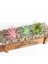 x iaoshuilian Hongxin 5x8 cm Yeşil Pembe Akın Sahte Bitkiler Yapay Etli Bitkiler Çiçek Aranjmanı Aksesuarları Ev Bahçe Düğün Dekorasyon (Yurt Dışından) 3