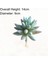 Mini Ling Jiao Cao Mavi Akın Yapay Succulents Bitkiler Çiçek Aranjmanı Aksesuarları Masaüstü Bonsai Ev Bahçe Dekorasyon Sahte Bitkiler (Yurt Dışından) 5
