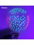 5 Adet 12 Inç Karanlıkta Glow Parti Sofra Masa Örtüleri Bardaklar Tabaklar Banner Peçeteler Payet Balonlar Neon Glow Doğum Günü Partisi Malzemeleri (Yurt Dışından) 1