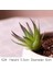 Fg Fei Zhou Lu Hui 39 Stilleri Yapay Bitkiler Ev Bahçe Dekorasyon Sahte Bitkiler Bonsai Succulents Bitkiler Düğün Çiçek Aranjmanı Aksesuarları (Yurt Dışından) 1