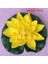 x -18 cm 10/18 cm Yüzen Lotus Yapay Çiçek Gerçekçi Nilüfer Mikro Manzara Düğün Gölet Bahçe Ev Sahte Lotus Bitki Dekor (Yurt Dışından) 1