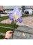 Beyaz Iris Yapay Iris Çiçek Şube Bahar Düğün Dekor Ev Masa Dekorasyon Flores Ipek Sahte Çiçek Parti Malzemeleri (Yurt Dışından) 5