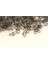 5014 Inox Yapay Yem Klipsi Nikel Snap 00 Numara 250'li Paket 2