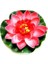 10 cm Kırmızı 10/17/28/40/60 cm Lotus Yapay Çiçek Yüzen Sahte Lotus Bitki Gölet Bahçe Dekor Için Gerçekçi Nilüfer Mikro Peyzaj (Yurt Dışından) 1