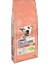 Dog Chow Somon Balıklı Yetişkin Köpek Maması 14 kg 1