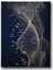 Lotus Çiçeği Canvas Tablo 1